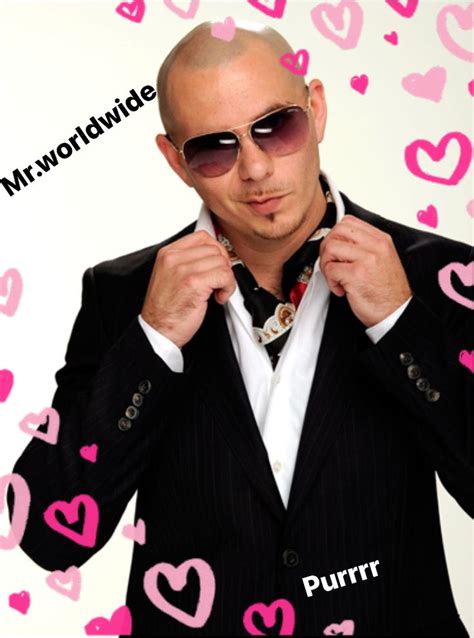 pitbull memes singer|pitbull memes for work.